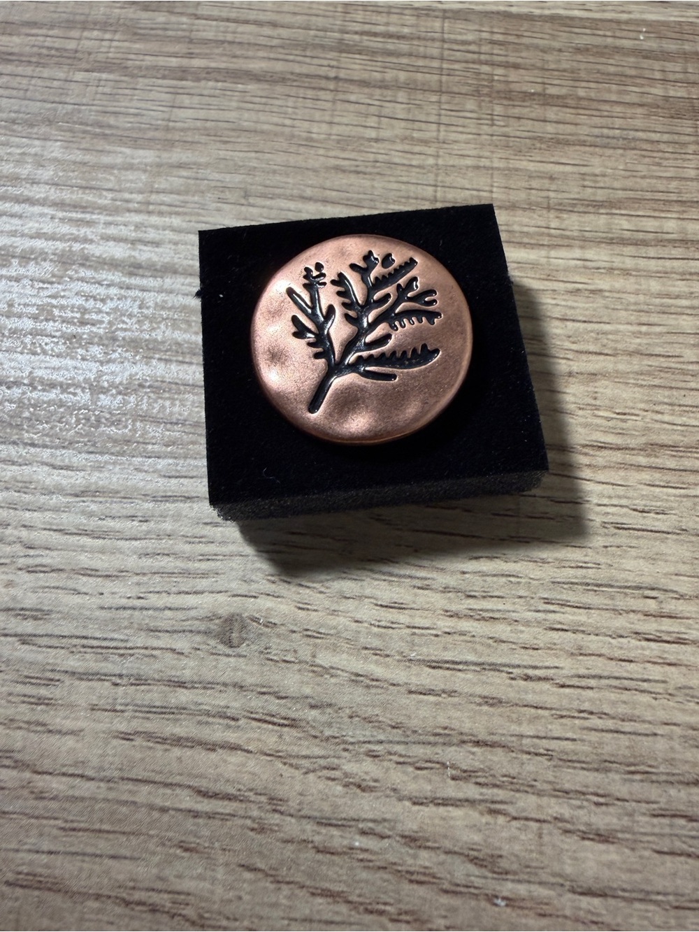 paparazzi Copper Botanical Accent Adjustable Ring